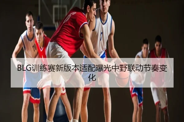 BLG训练赛新版本适配曝光中野联动节奏变化